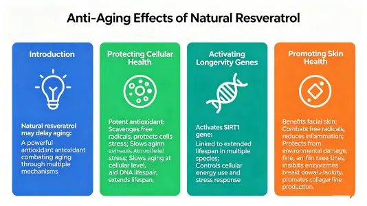 Anti-Aging Effects of Natural Resveratrol