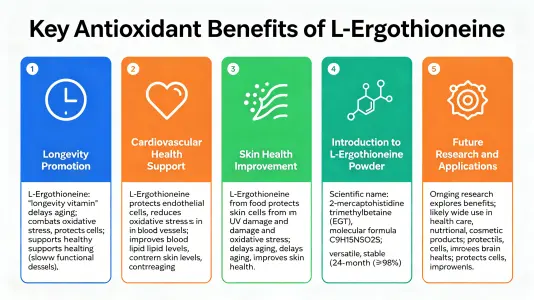 Top Antioxidant Benefits of L-Ergothioneine