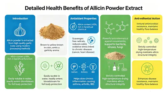 Health Benefits of Allicin Powder Extract Explained Health Benefits of Allicin Powder Extract Explained