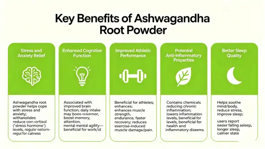 Top Benefits of Withania Somnifera Root Powder Top Benefits of Withania Somnifera Root Powder