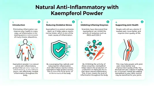 Using Kaempferol Powder for Natural Anti-Inflammation