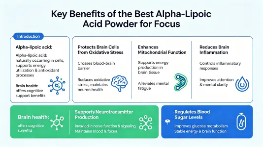 Top Benefits of the Best ALA Powder for Focus