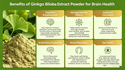 Benefits of Ginkgo Biloba Extract Powder for Brain Health