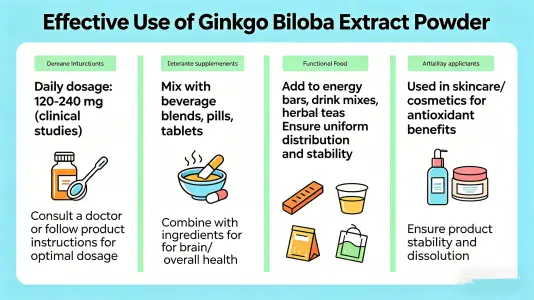 Use Ginkgo Biloba Extract Powder