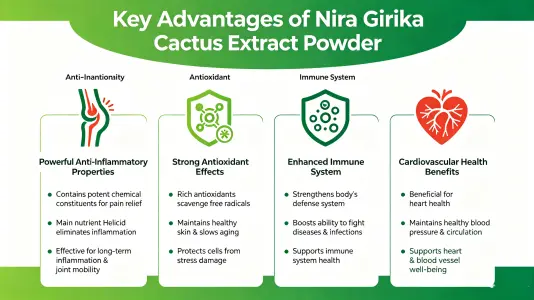 Key Advantages of Helicia Nilagirica Extract Powder Key Advantages of Helicia Nilagirica Extract Powder