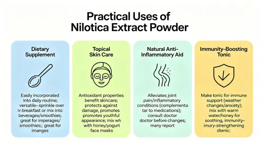 Practical Uses of Helicia Nilagirica Extract Powder Practical Uses of Helicia Nilagirica Extract Powder