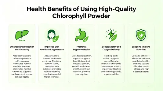 Health Advantages of Using the Best Chlorophyll Powder Health Advantages of Using the Best Chlorophyll Powder