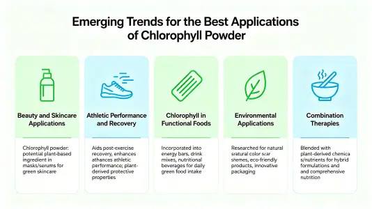 Emerging Trends in Best Chlorophyll Powder Usage Emerging Trends in Best Chlorophyll Powder Usage
