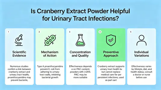 Is Bulk Cranberry Extract Good for UTI Support Is Bulk Cranberry Extract Good for UTI Support