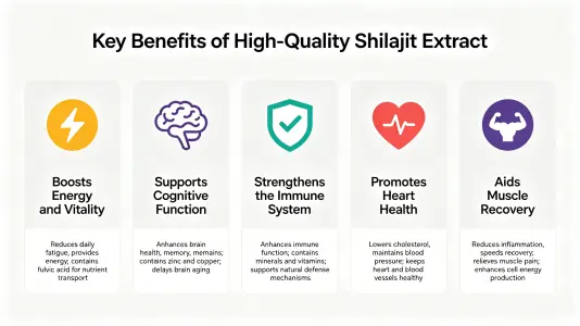 Top Benefits of the Best Shilajit Extract