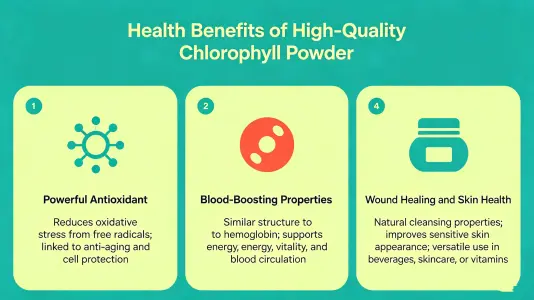 Health Benefits of Best Chlorophyll Powder