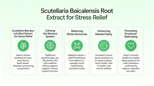 Using Baical Skullcap Root Extract for Stress Relief