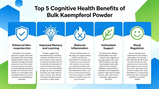 Top 5 Benefits of Bulk Kaempferol Powder for Cognitive Health