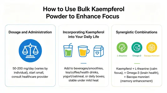 How to Use Bulk Kaempferol Powder for Enhanced Focus How to Use Bulk Kaempferol Powder for Enhanced Focus