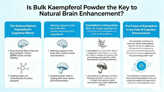Is Bulk Kaempferol Powder the Key to Natural Brain Boosters
