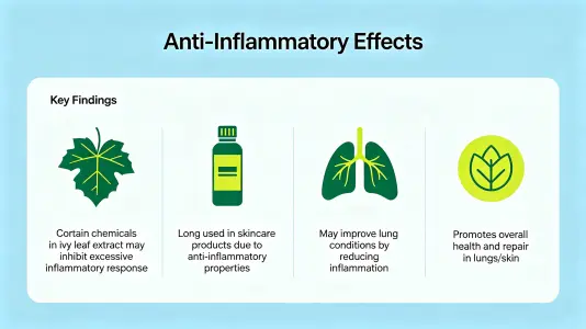 Anti-inflammatory Effects