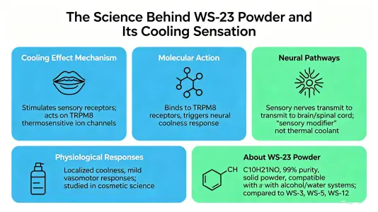 The Science Behind WS 23 Powder and Its Cooling Sensation