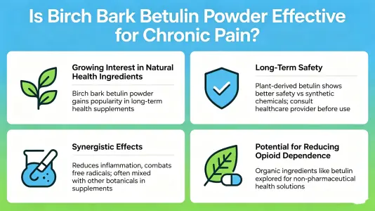 Is Birch Bark Betulin Powder Effective for Chronic Pain Is Birch Bark Betulin Powder Effective for Chronic Pain