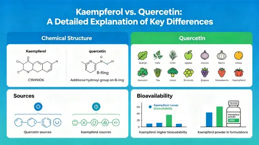 Kaempferol vs Quercetin Kaempferol vs Quercetin