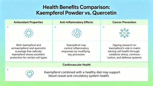 Health Benefits of Bulk Kaempferol Powder vs Quercetin Health Benefits of Bulk Kaempferol Powder vs Quercetin