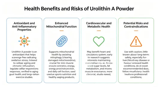 Health Benefits and Risks of Urolithin A Powder Health Benefits and Risks of Urolithin A Powder