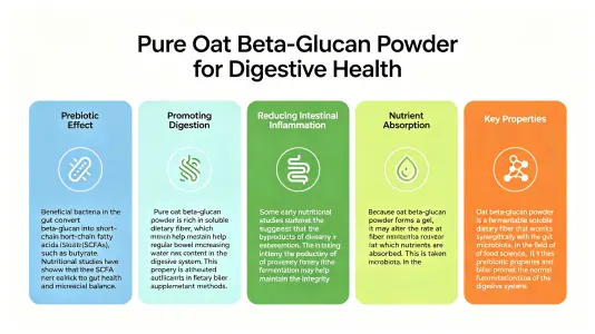 Using Pure Oat Beta Glucan Powder for Digestive Health Using Pure Oat Beta Glucan Powder for Digestive Health