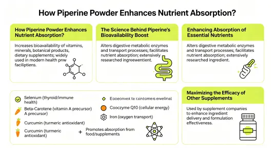 How Piperine Powder Boosts Nutrient Absorption How Piperine Powder Boosts Nutrient Absorption