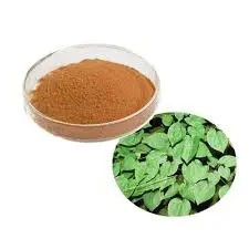 Epimedium Extract Powder Epimedium Extract Powder