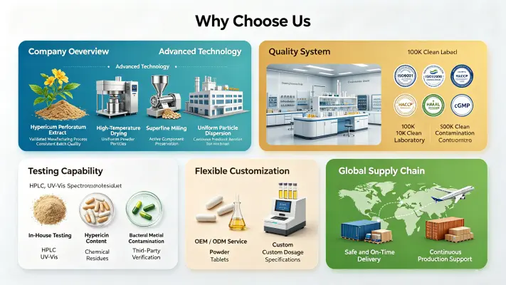 Why Choose Us