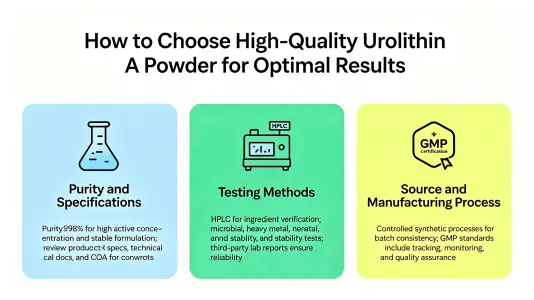 Choosing Quality Urolithin A Powder for Best Results