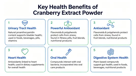 Top Health Benefits of Cranberry Extract Powder