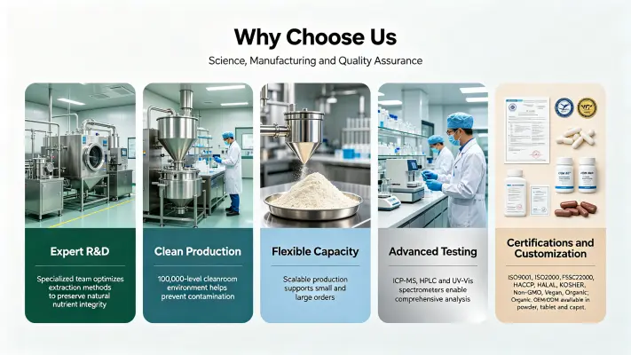 Why Choose Us