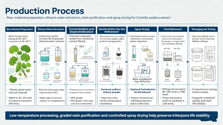 Manufacturing Process