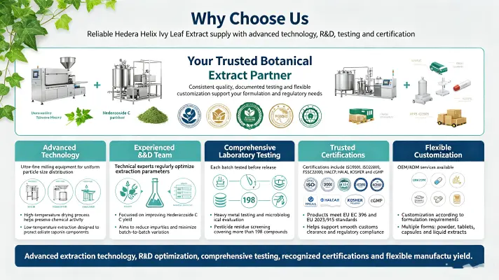 Why Choose Us