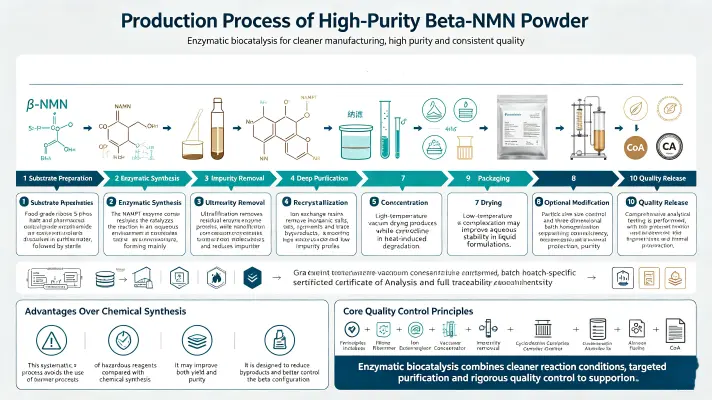 Production Process
