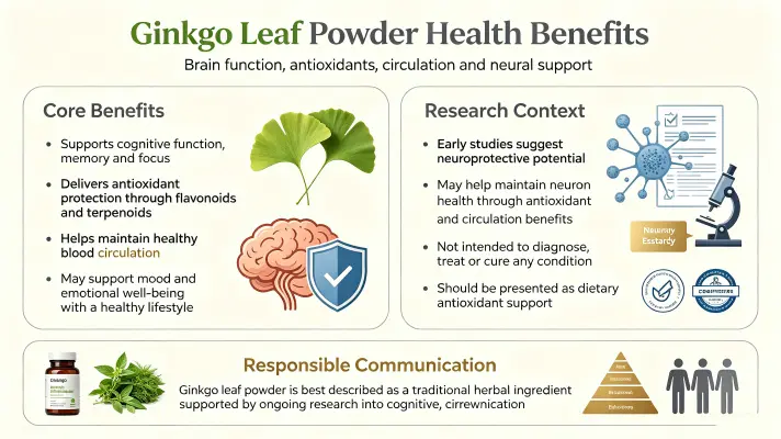 Top Benefits of Ginkgo Biloba Leaf Powder