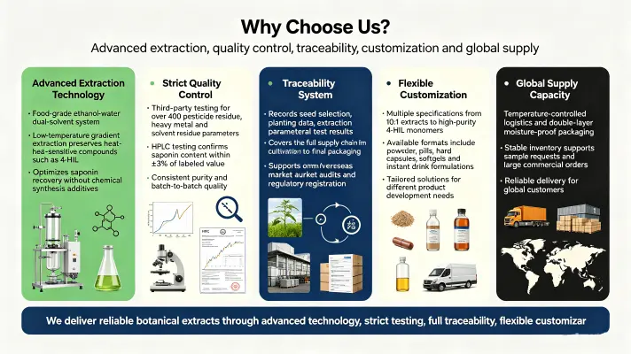 Why Choose Us