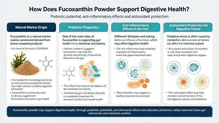 How Fucoxanthin Powder Supports Digestive Health How Fucoxanthin Powder Supports Digestive Health