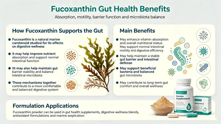Top Gut Health Benefits of Fucoxanthin Supplements