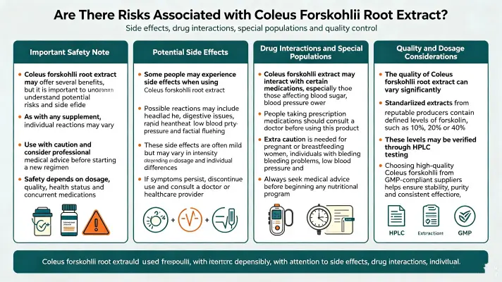 Are There Risks to Using Coleus Root Extract
