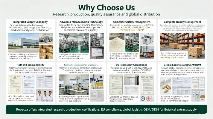 Why Choose Us