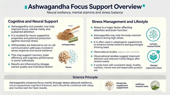 Boost Your Focus with Withania Somnifera Root Powder
