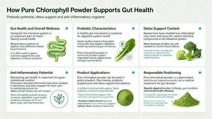 How Pure Chlorophyll Powder Enhances Gut Health