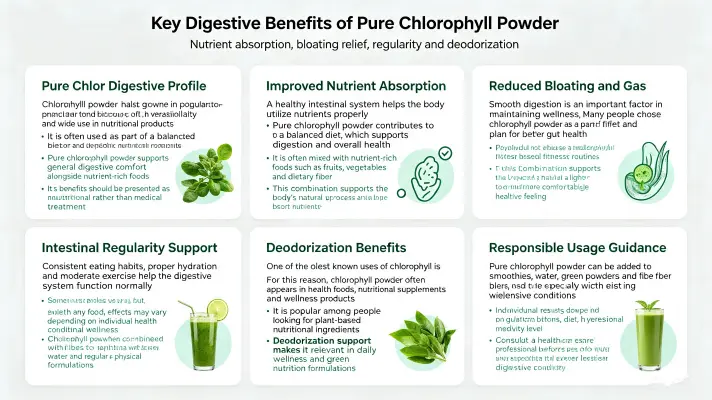 Top Benefits of Pure Chlorophyll Powder for Digestion