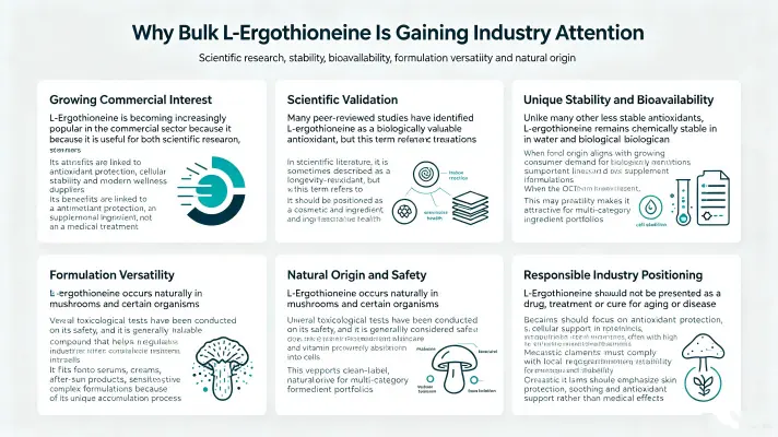 Why Bulk L Ergothioneine Is Gaining Industry Buzz Why Bulk L Ergothioneine Is Gaining Industry Buzz