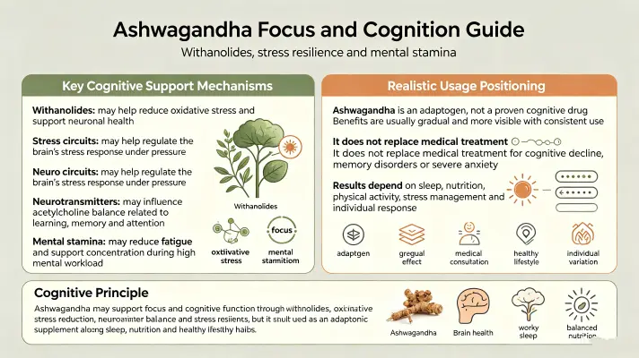 Boosting Focus and Cognitive Function with Ashwagandha