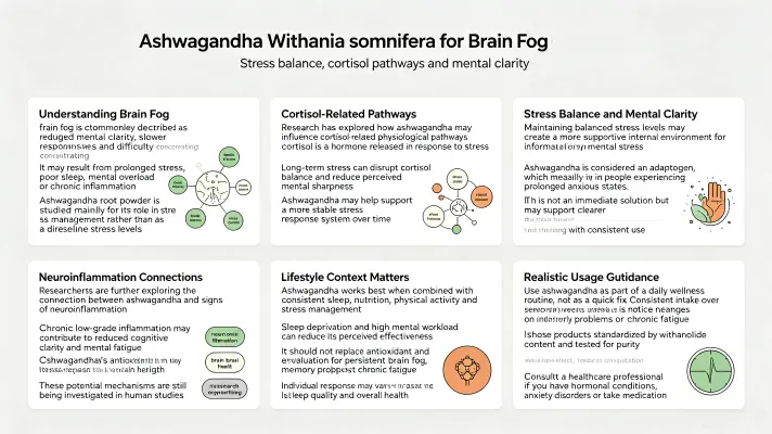 The Role of Withania Somnifera in Reducing Brain Fog