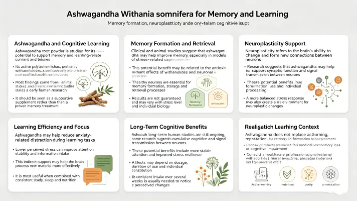 Enhancing Memory and Learning with Withania Somnifera
