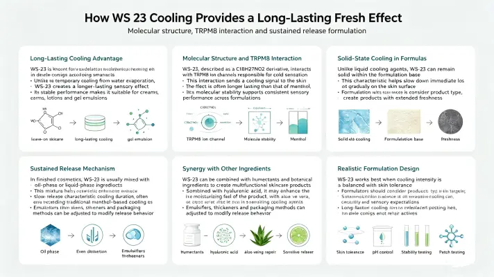 How WS 23 Cooling Provides a Long-Lasting Fresh Effect How WS 23 Cooling Provides a Long-Lasting Fresh Effect