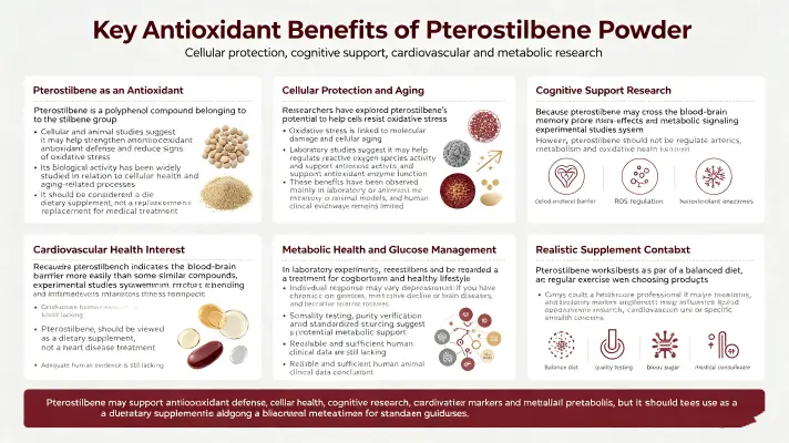 Top Antioxidant Benefits of Pterostilbene Powder